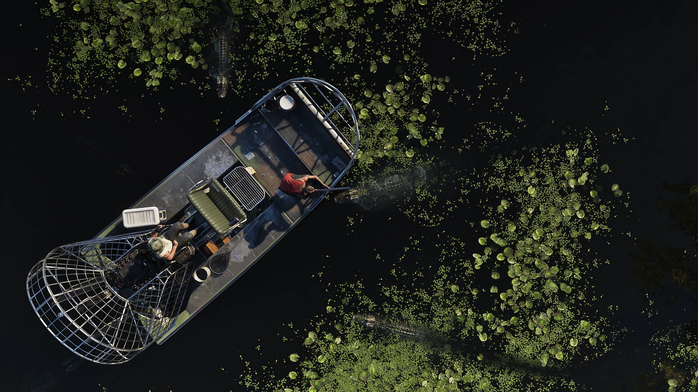 Airboat travelling through a waterway surrounded by vegetation